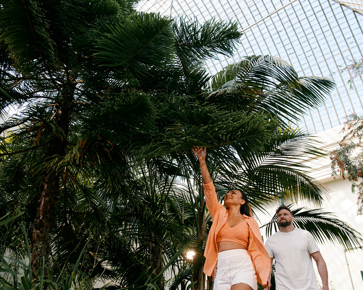 A couple walk through the Glass House at Sheffield Botanical Gardens.