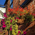 The sign hanging outside the Raven Inn.