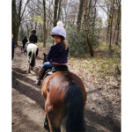 Children going pony trekking.