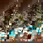 Photograph of the interior of Hygge.