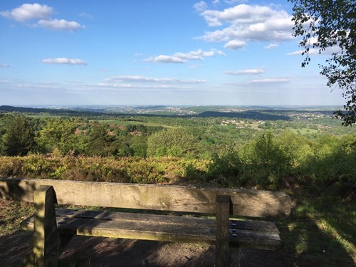 A wooden bench sits in the foreground, overlooking a scenic landscape of rolling green hills, scattered trees, and a clear blue sky with fluffy white clouds. The peaceful setting suggests a place for quiet reflection or enjoying nature.