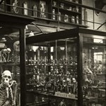 An old black and white image of The Alfred Denny Museum Of Zoology.