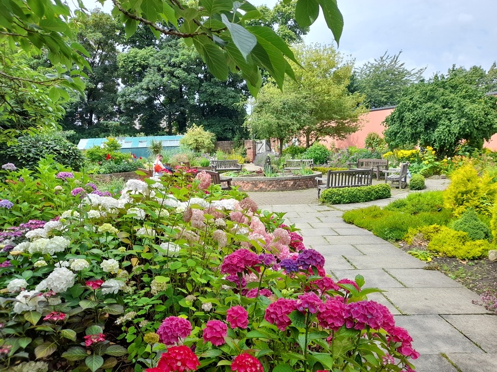 The Hillsborough Park Walled Garden in full bloom.