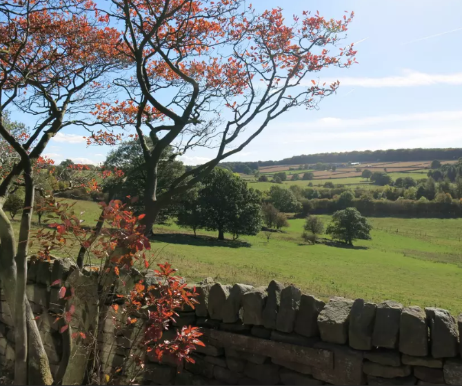 Expansive countryside view featuring meadows, scattered trees, and clear skies.