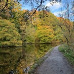 A path through woods that runs alongside a river on the Rivelin Valley Trail.