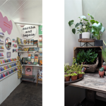 A plant and cacti stall in the Red Brick Market.