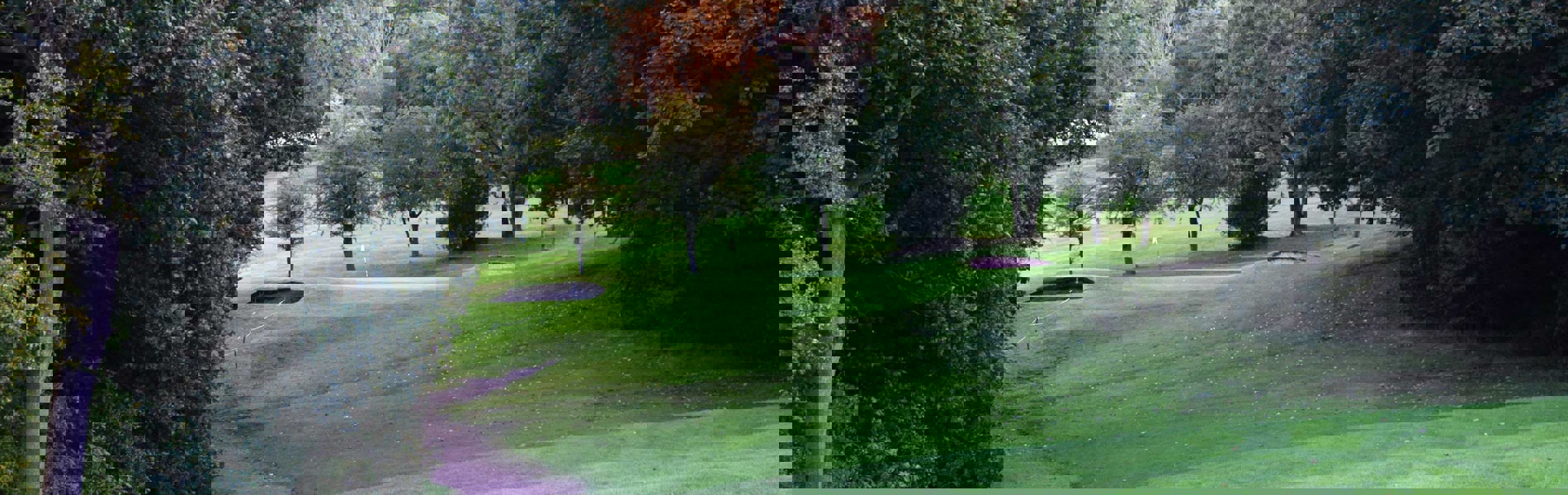 One of the holes at Renishaw Park Golf Club.