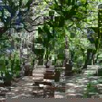 Grave stones at Sheffield General Cemetery.