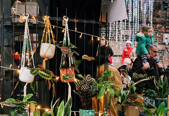 A market stall filled with pot plants and hanging baskets.