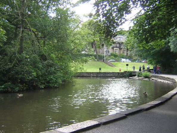 The pond at Endcliffe Park.