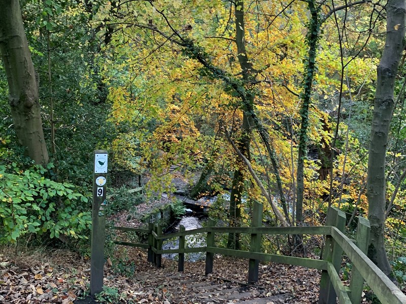 Wooden steps going down a steep bank on the Rivelin Valley Trail.