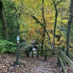 Wooden steps going down a steep bank on the Rivelin Valley Trail.