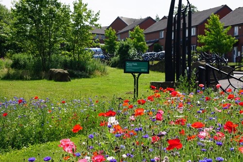 A vibrant garden with red poppies and purple cornflowers in full bloom, set in front of brick houses and a row of trees. A green sign in the centre reads 'Flower Patch' under a bright, sunny sky.