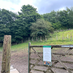 An open gate leads into a fenced off grassy field at Rivelin Valley Dog Park.