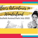 Poster for the Alice's Adventures In Wonderland event.