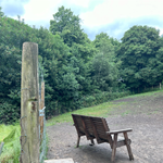 A wooden bench stands next to a wire fence at Rivelin Valley Dog Park.