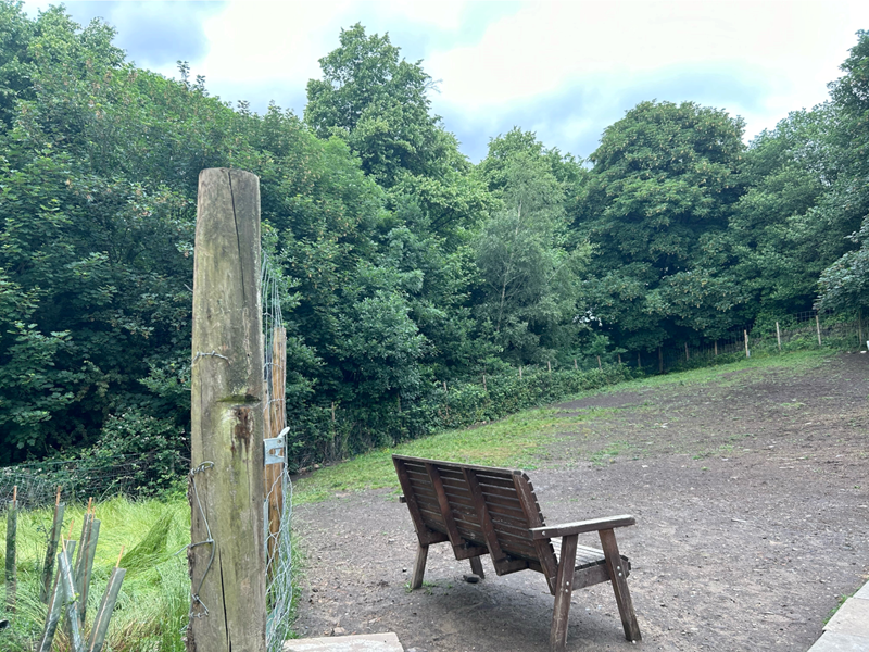 A wooden bench stands next to a wire fence at Rivelin Valley Dog Park.