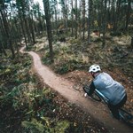 A man riding a mountain bike along a track in a wooded area.