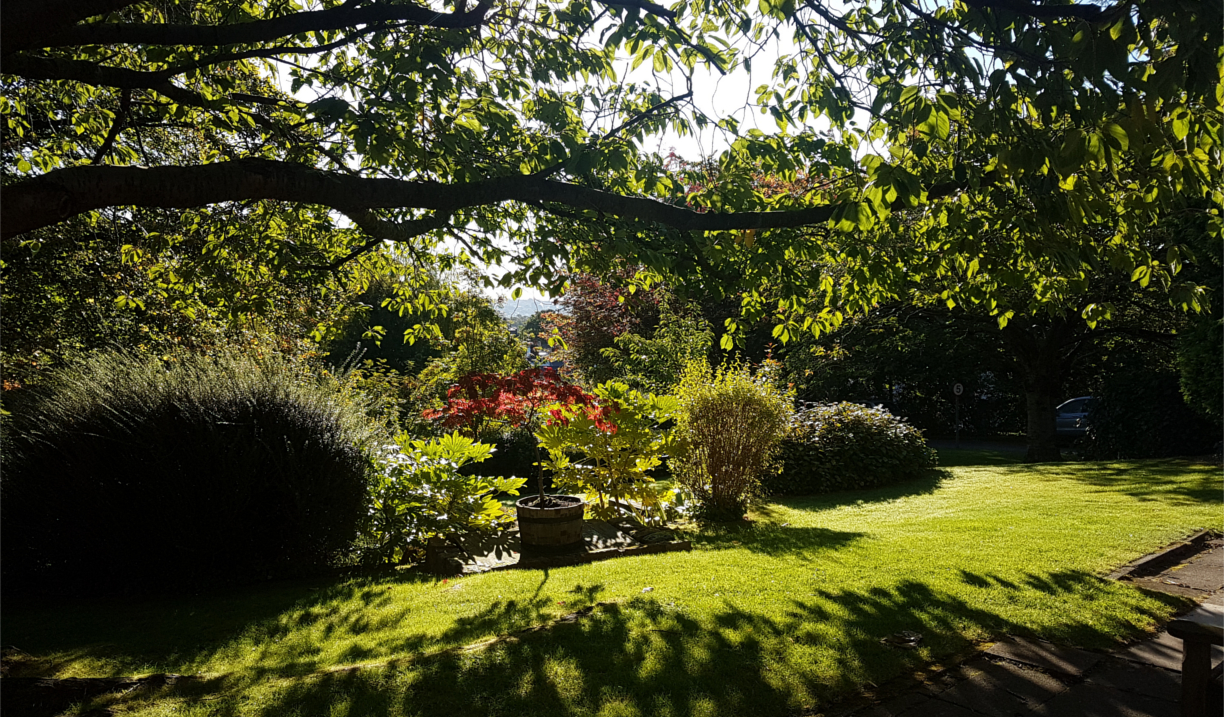 Beautiful landscaped grounds surrounding Halifax Hall Hotel with trees and gardens.