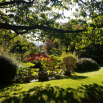 Beautiful landscaped grounds surrounding Halifax Hall Hotel with trees and gardens.