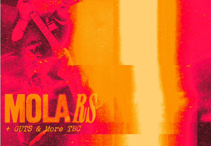 Poster for the event.