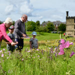 A family looking for insects in the wild flower meadow at Sheffield Manor Lodge.