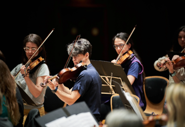 The strings section of the Brigantes Orchestra.