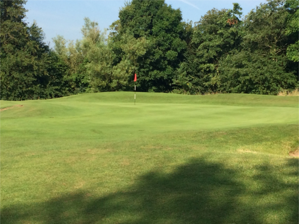A green, as seen from the rough, at the Rother Valley Golf Centre.