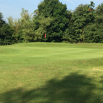 A green, as seen from the rough, at the Rother Valley Golf Centre.