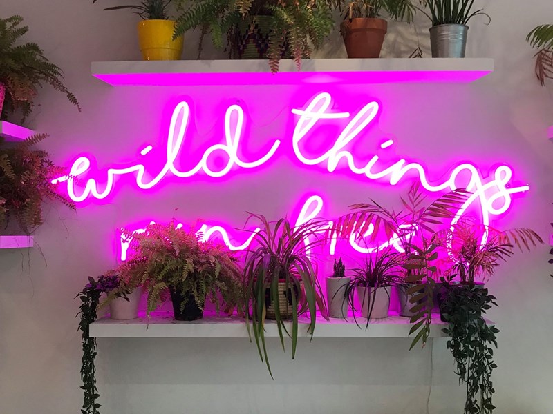 A table and chairs in a cafe. Above them, on the wall, is a bright pink neon sign that reads 'Wild Things'.