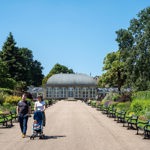 A couple, with a pushchair, walking in the Sheffield Botanical Gardens.