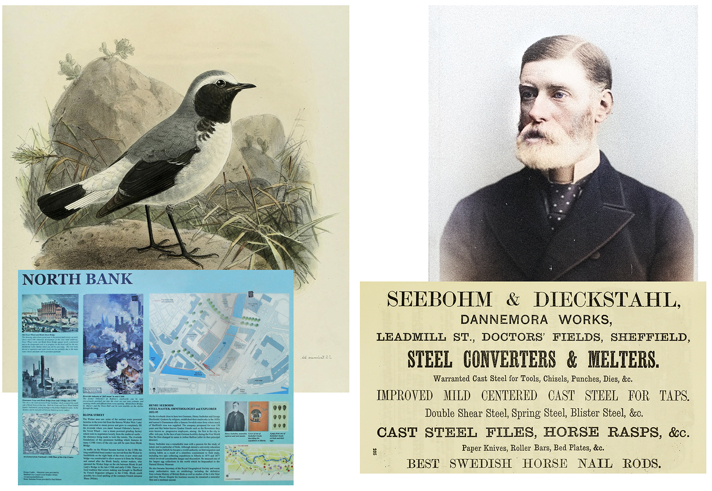 promo poster for the event.