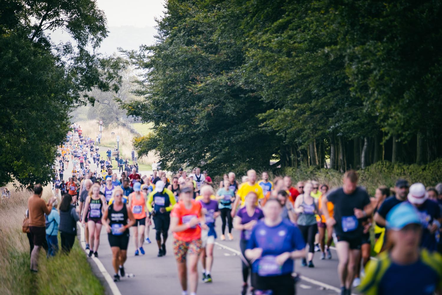Group of people running in Sheffield Half Marathon, in leafy surroundings of the city. There are tall trees either side of the road they are running along.