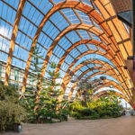 The interior of the Sheffield Winter Garden with lots of plants and trees thriving under the glass roof.