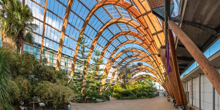 The interior of the Sheffield Winter Garden with lots of plants and trees thriving under the glass roof.