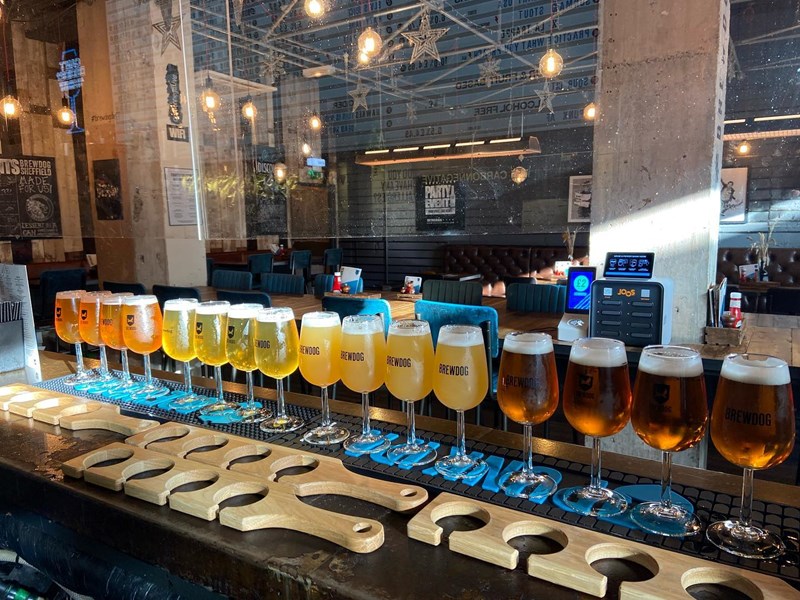 A counter with a long row of glasses of beer.