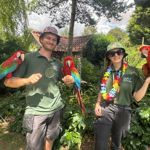 Two members of staff holding three parrots  at the Tropical Butterfly House Wildlife Conservation Park.
