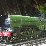 A green locomotive at the Abbeydale Miniature Railway.