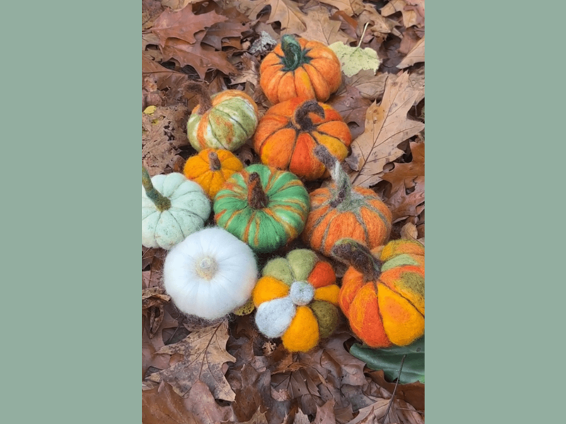 Ten felted pumpkins, all different sizes and colours, laid out on the ground on Autumn leaves.