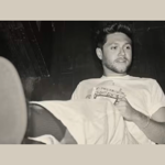 Promo image for Niall Horan Dinner Party Live On Tour.