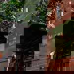 Exterior of Spa 1877