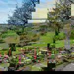 A wide view of The Old Horns Inn beer garden overlooking rolling green countryside, with rows of picnic tables and red parasols set against a backdrop of fields and hills.