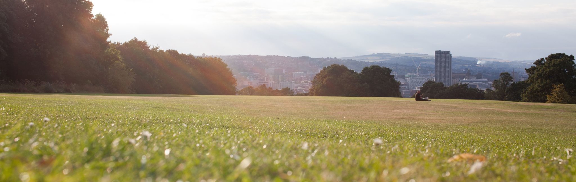 A view across a grassy field in Norfolk Heritage park, which is edged with lots of trees. In the distance you can see Sheffield city centre.