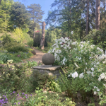 Whinfell Quarry Gardens on a sunny day.