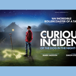 Promo for The Curious Incident of the Dog in the Night Time, with an image of a young person in a garden, at night. On the grass, at their feet, is the outline of a dog with a garden fork stuck into the lawn, in the middle of the outline.