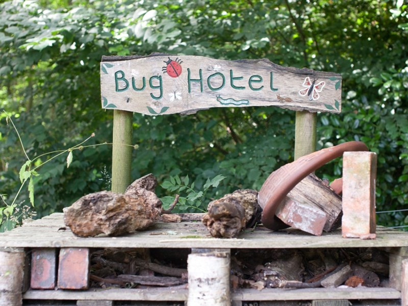 A bug hotel that has been set up in Ecclesall Woods.