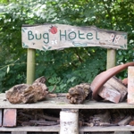 A bug hotel that has been set up in Ecclesall Woods.