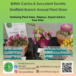 Poster for the event with all the details such as date and time along side a photo of various cacti and succulents.