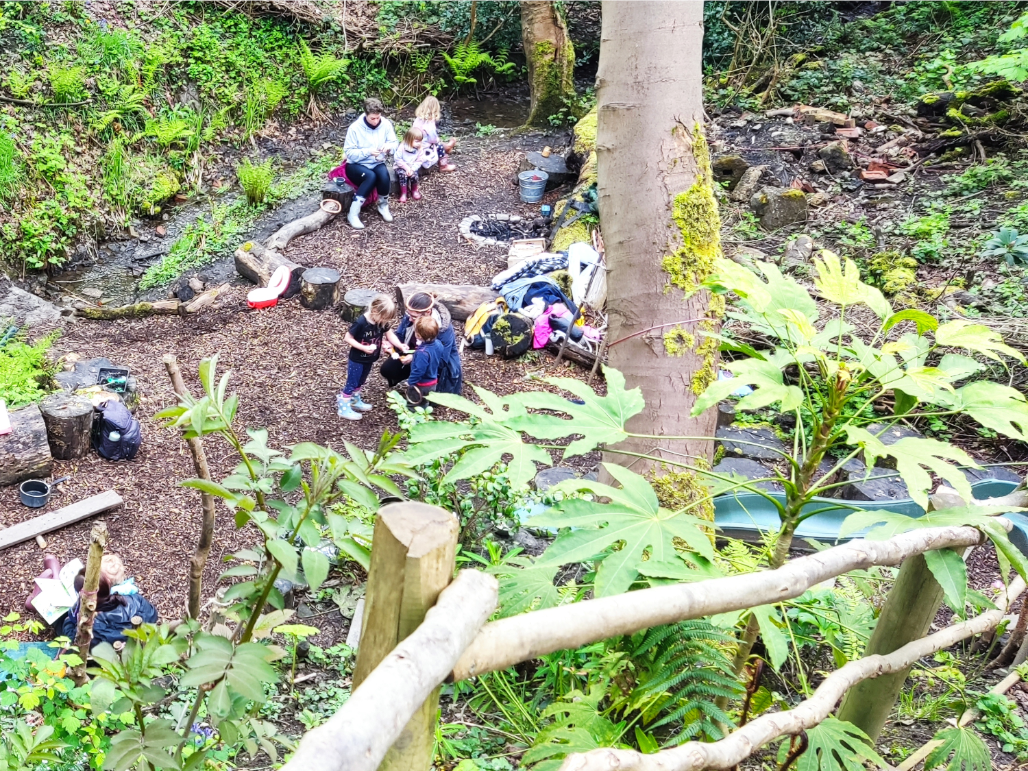 A group of people in a woodland clearing are taking part in a workshop.
