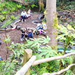 A group of people in a woodland clearing are taking part in a workshop.